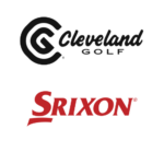 temp alt for theme list items