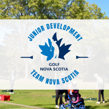 temp alt for theme iandt