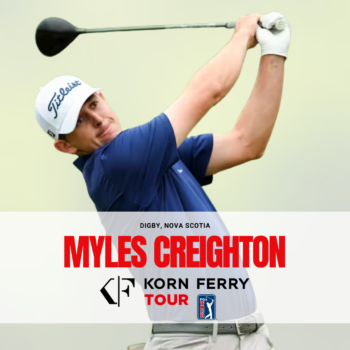 temp alt for theme iandt