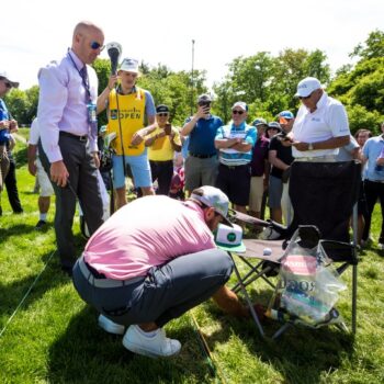 temp alt for theme iandt