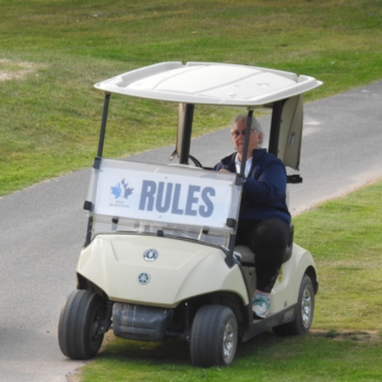 temp alt for theme iandt