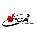 temp alt for theme list items