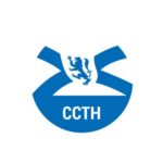 temp alt for theme list items