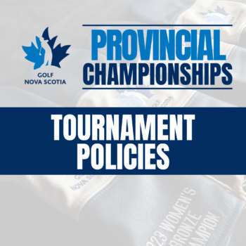 temp alt for theme iandt