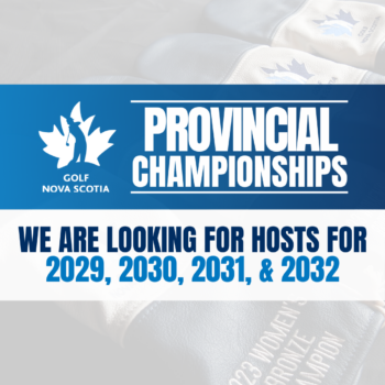 temp alt for theme iandt