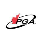 temp alt for theme list items