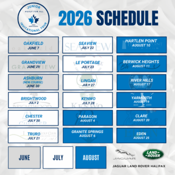 temp alt for theme iandt