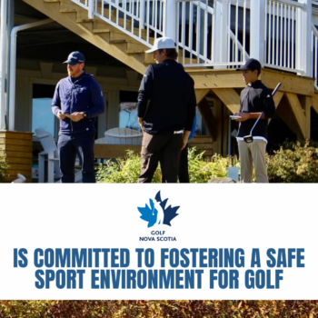 temp alt for theme iandt