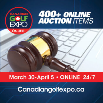 temp alt for theme iandt