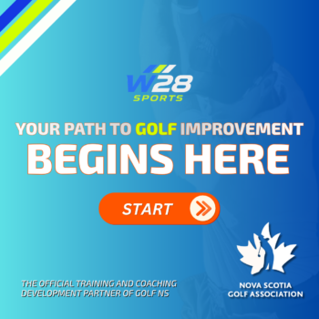 temp alt for theme iandt