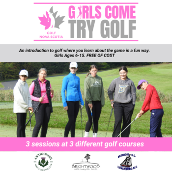 temp alt for theme iandt